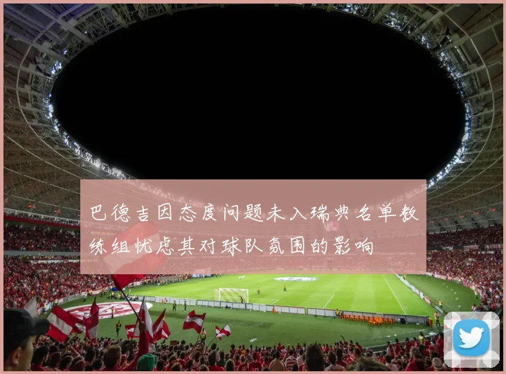 巴德吉因态度问题未入瑞典名单教练组忧虑其对球队氛围的影响