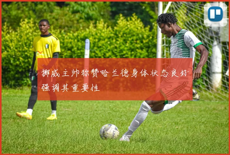 挪威主帅称赞哈兰德身体状态良好强调其重要性