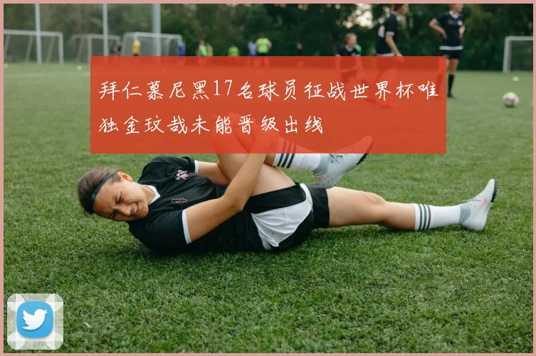 拜仁慕尼黑17名球员征战世界杯唯独金玟哉未能晋级出线